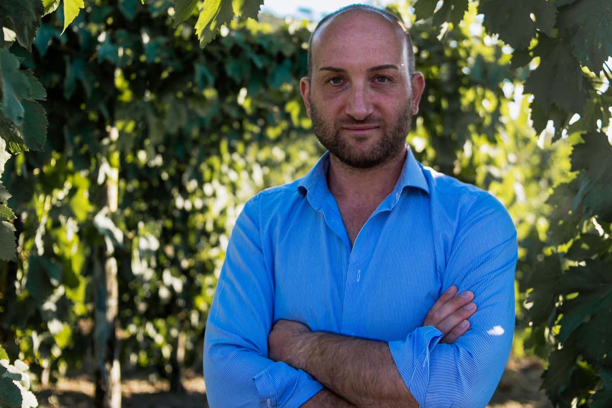 Consorzio Vini Vesuvio, Ciro Giordano rieletto presidente consorzio