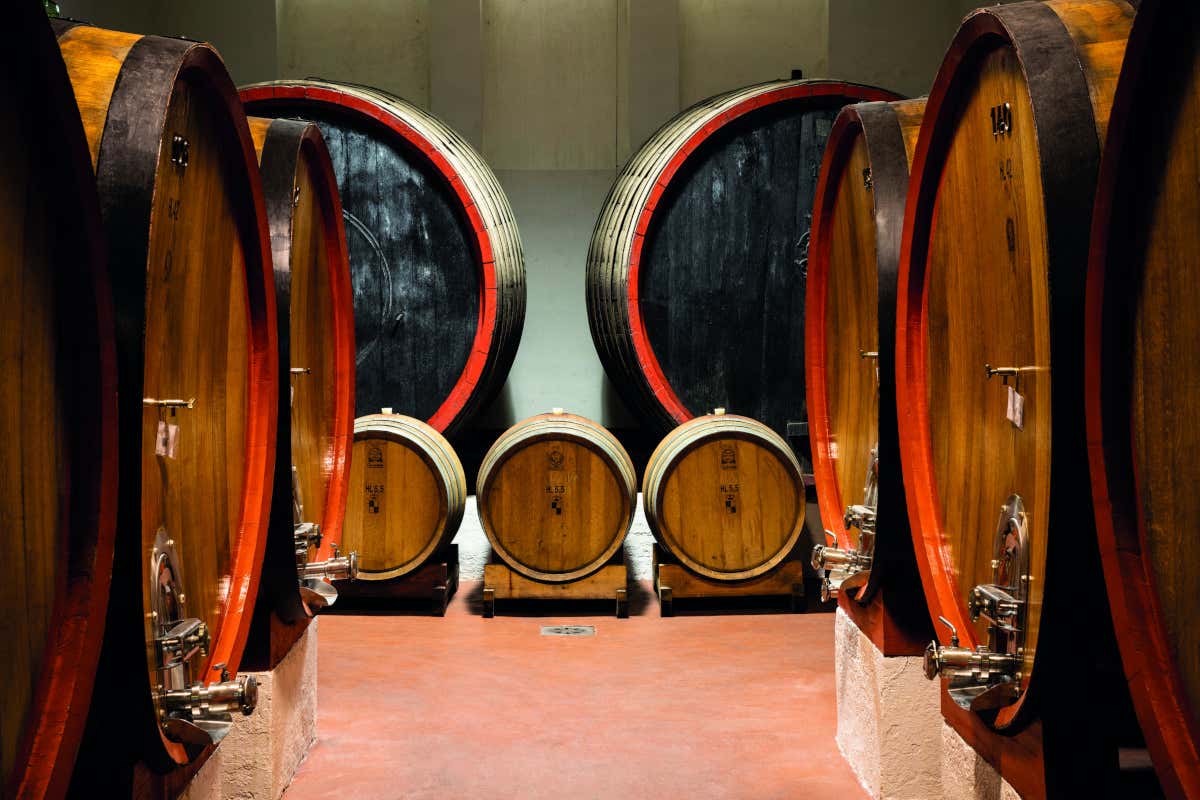 Castello San Salvatore e Cantina Conte Collalto: secoli di storia e vini d'eccellenza Castello San Salvatore e Cantina Conte Collalto: secoli di storia e vini d'eccellenza