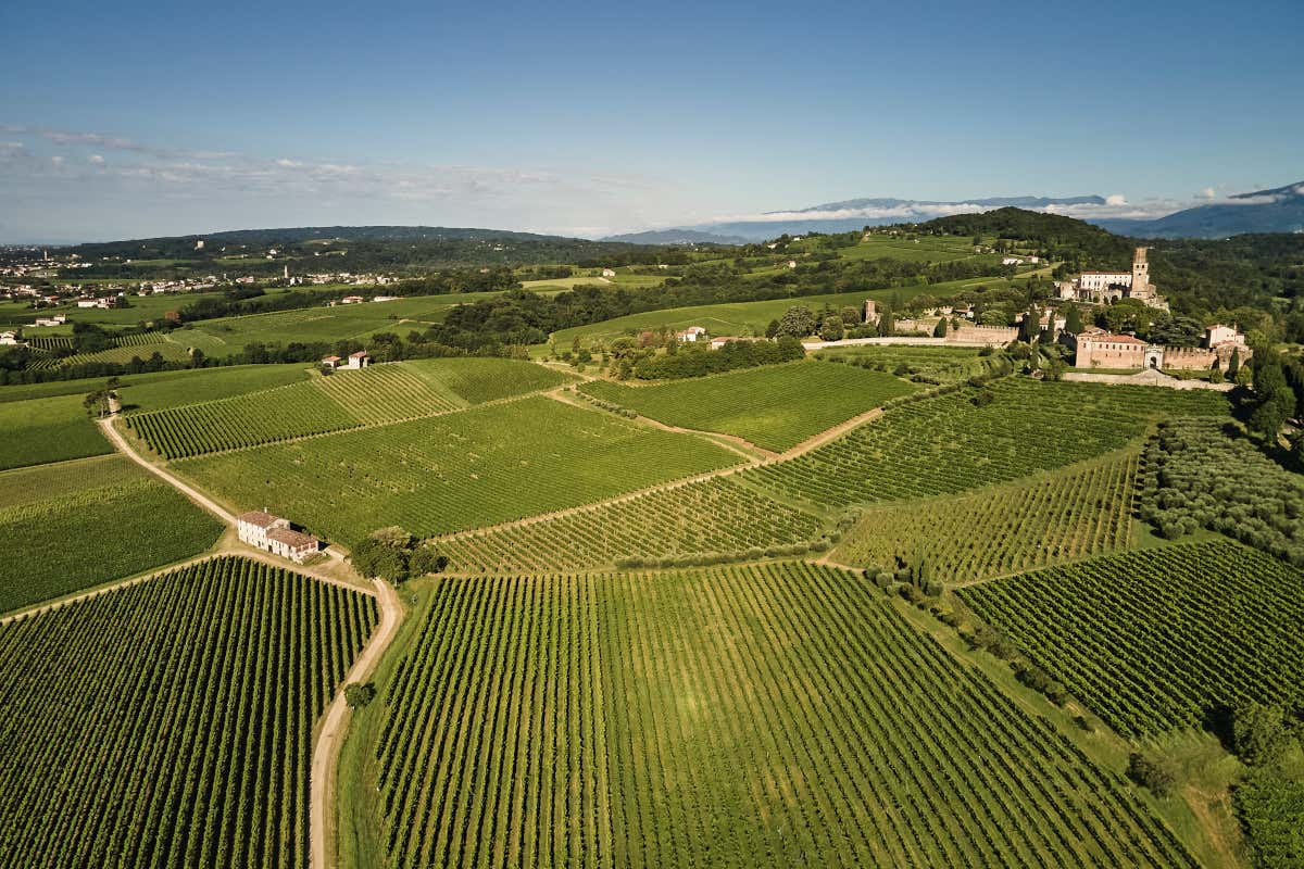 Castello San Salvatore e Cantina Conte Collalto: secoli di storia e vini d'eccellenza Castello San Salvatore e Cantina Conte Collalto: secoli di storia e vini d'eccellenza