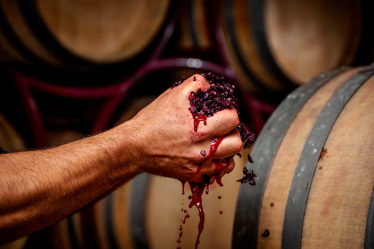 L’anima calda del Salento nei calici di Natale: l’eleganza firmata Conti Zecca