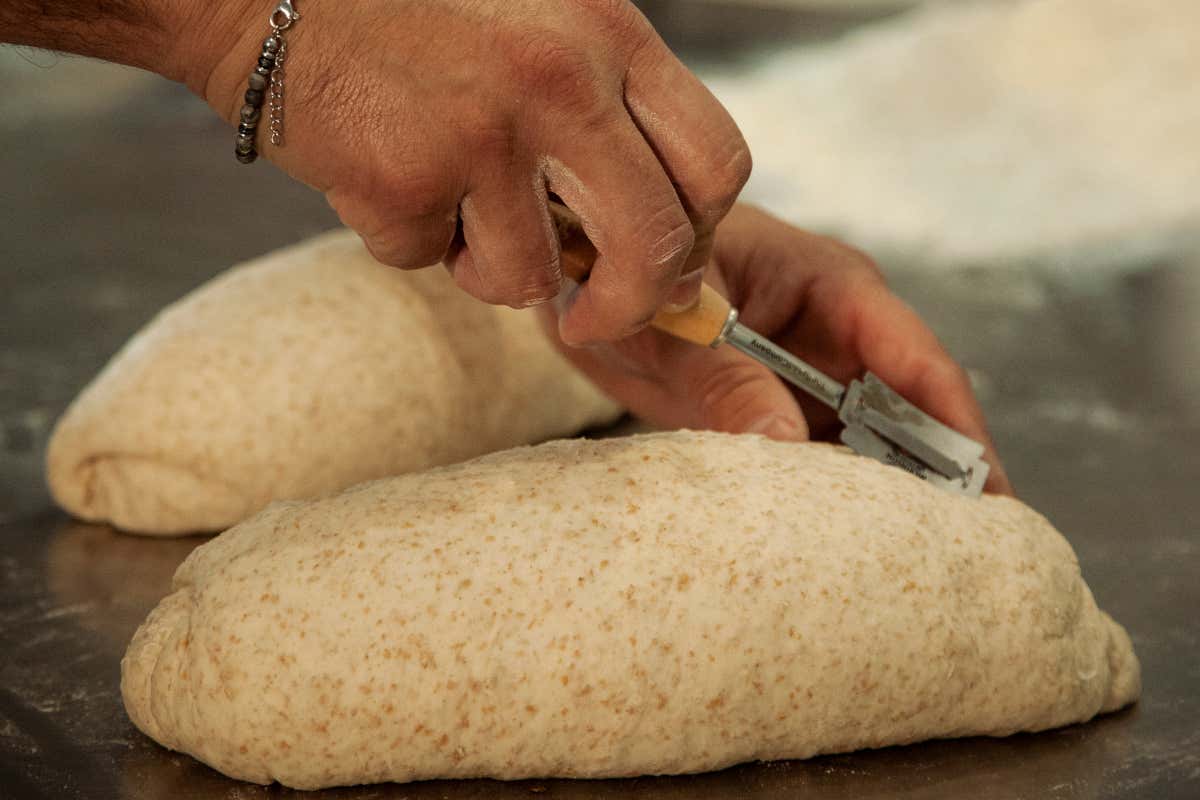 La lezione della Spagna sul pane che l’Italia non può più ignorare La lezione della Spagna sul pane che l’Italia non può più ignorare