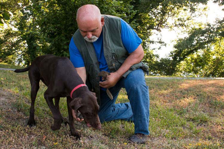 Caccia ai tartufi al Castello di Petroia Il raccolto lo cucina Walter Passeri