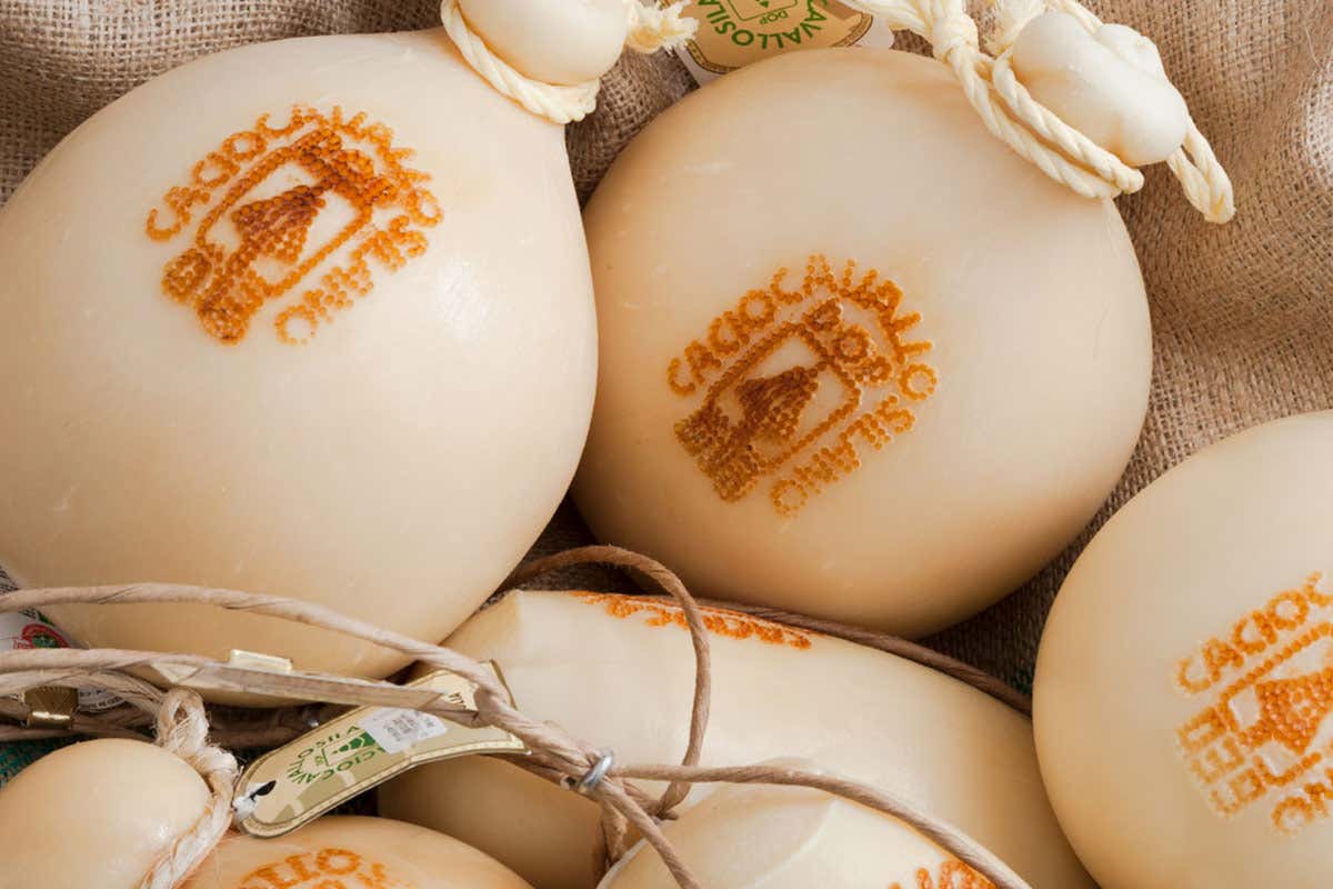 Caciocavallo Silano Dop £$Sul tagliere dei formaggi...$£ Bitto, Caciocavallo Silano, Formai de Mut