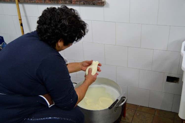 Lavorazione artigianale - Caciocavallo di Cimin&agrave; Formaggio dai mitologici sapori