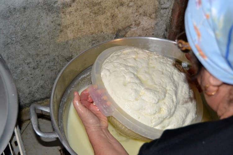 Tuma in fase artigianale - Caciocavallo di Cimin&agrave; Formaggio dai mitologici sapori