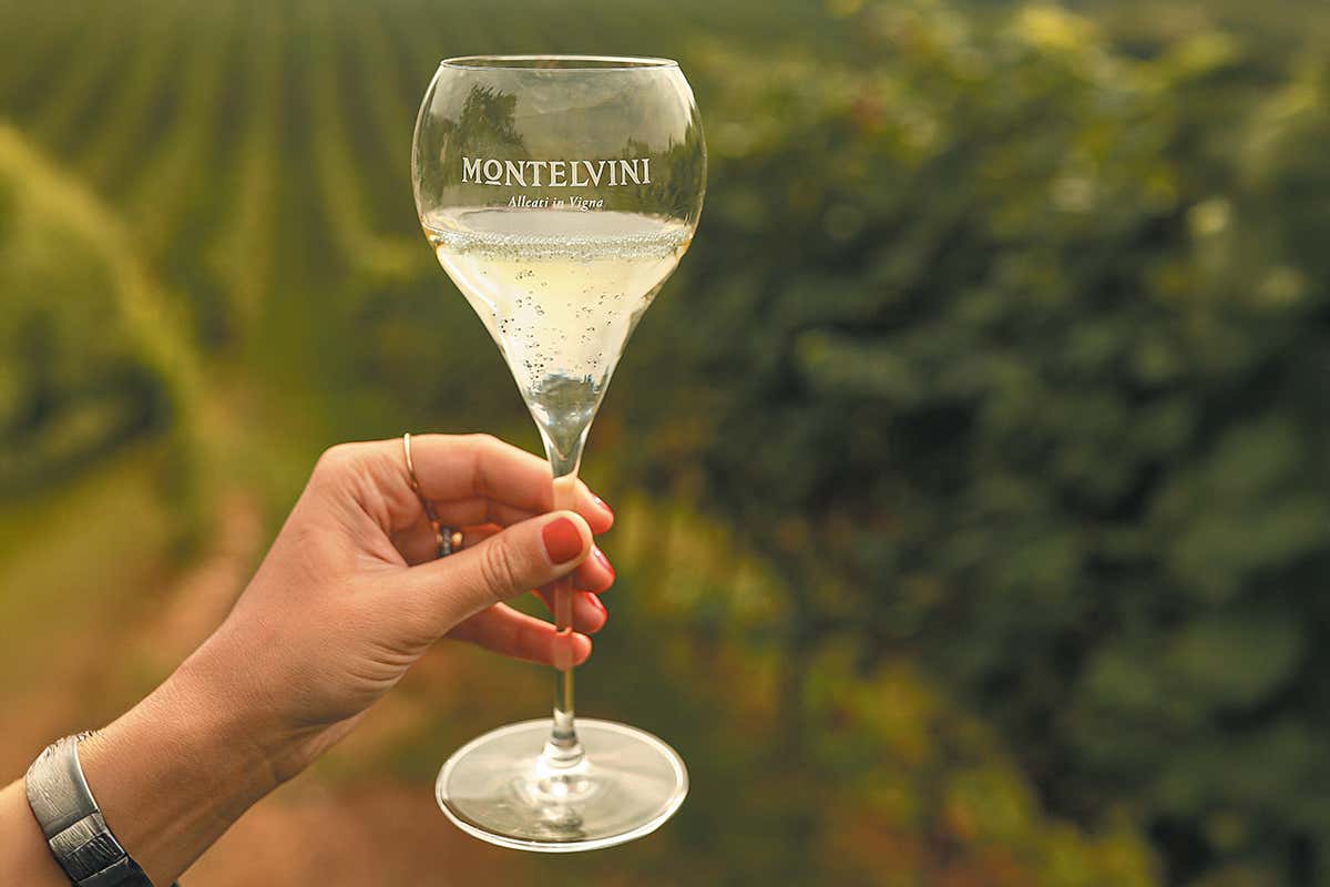 Dalle colline di Asolo al brindisi no alcol: il Prosecco Montelvini per ogni stile di vita Dalle colline di Asolo al brindisi no alcol: il Prosecco Montelvini per ogni stile di vita