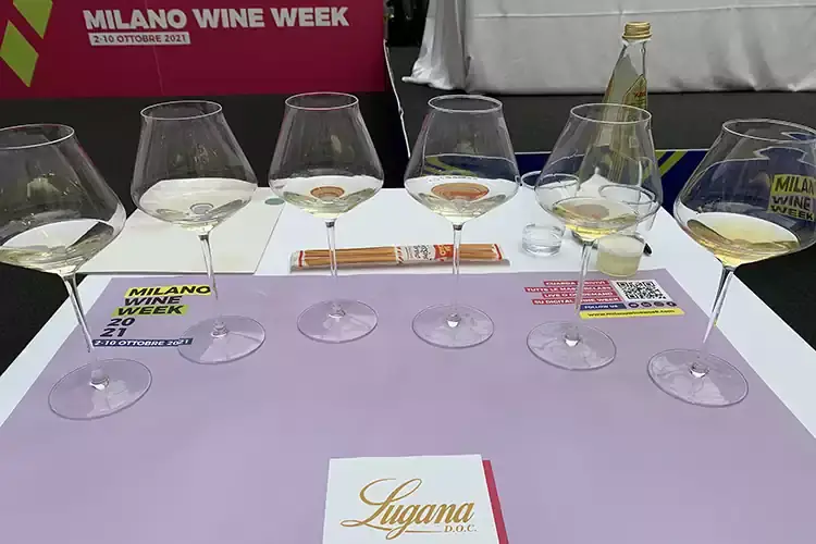 Il vitigno del Lugana &egrave; il Turbiana, variet&agrave; locale di Trebbiano Lugana, bianco food friendly che sa invecchiare