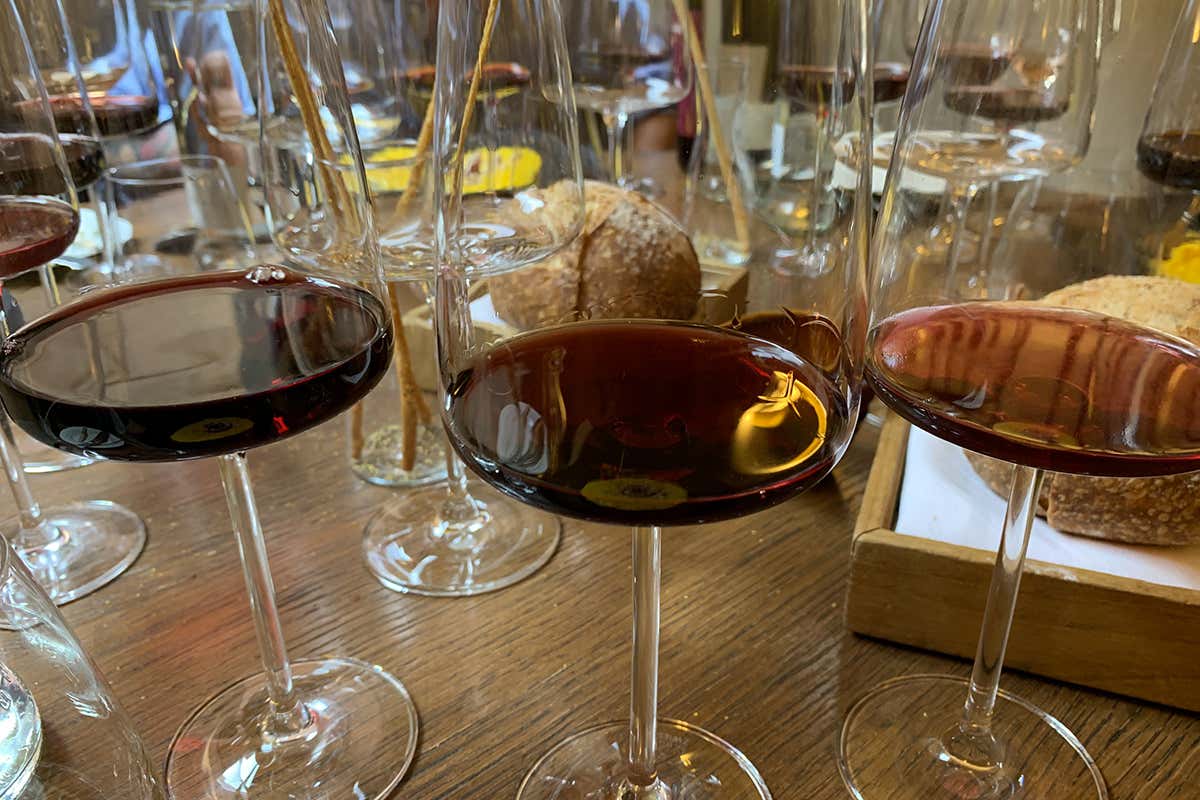 Il colore rosso secondo Vallepicina Vallepicciola, autorevolezza in cantina