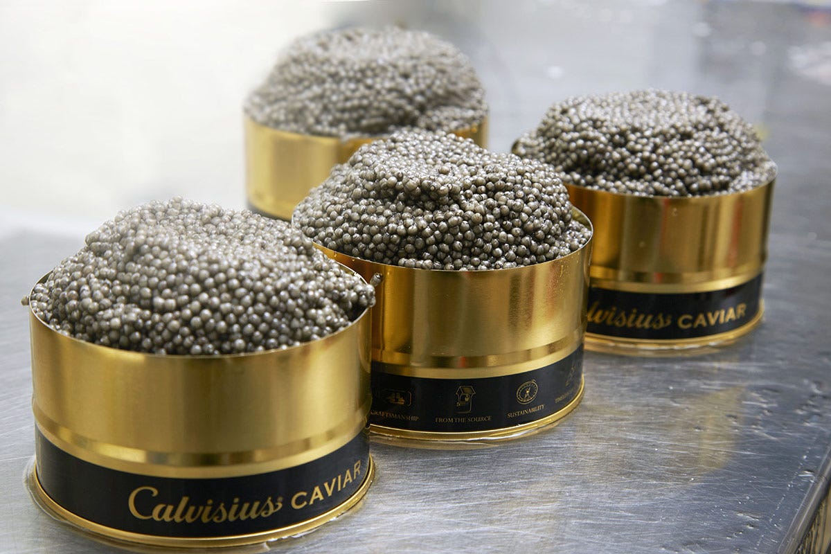 Купить черную икру 1. Икра Caviar Premium. Черная икра Caviar. Caviar Caviar Pearls Kristal. Черная икра Caviar Royal.