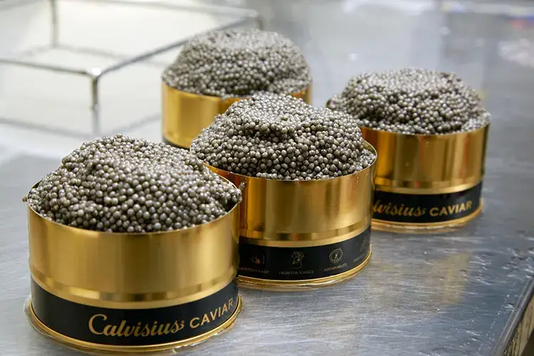 Calvisius Caviar Tradition Royale