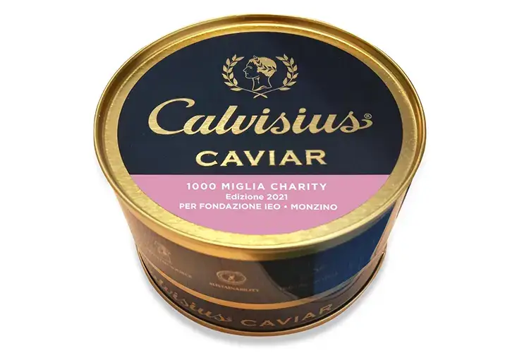 Calvisius in rosa