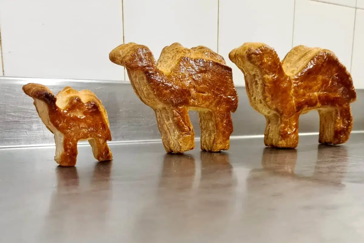 Cammelli pasta sfoglia Pasticceria Ghezzi Varese celebra l'Epifania con il cammello dolce di pasta sfoglia