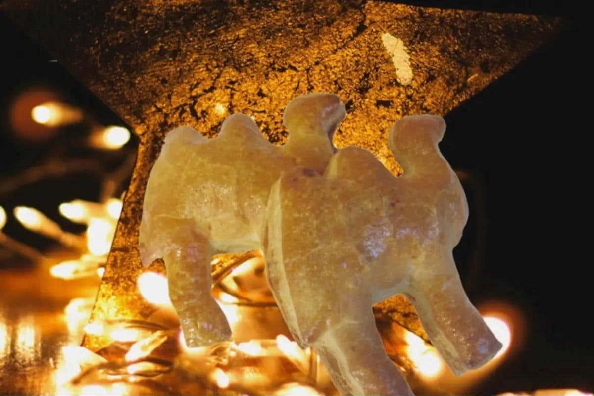 Cammello pasta sfoglia Pasticceria Ghezzi Varese dolce Epifania Varese celebra l'Epifania con il cammello dolce di pasta sfoglia Cammello pasta sfoglia Pasticceria Ghezzi Varese dolce Epifania Varese celebra l'Epifania con il cammello dolce di pasta sfoglia