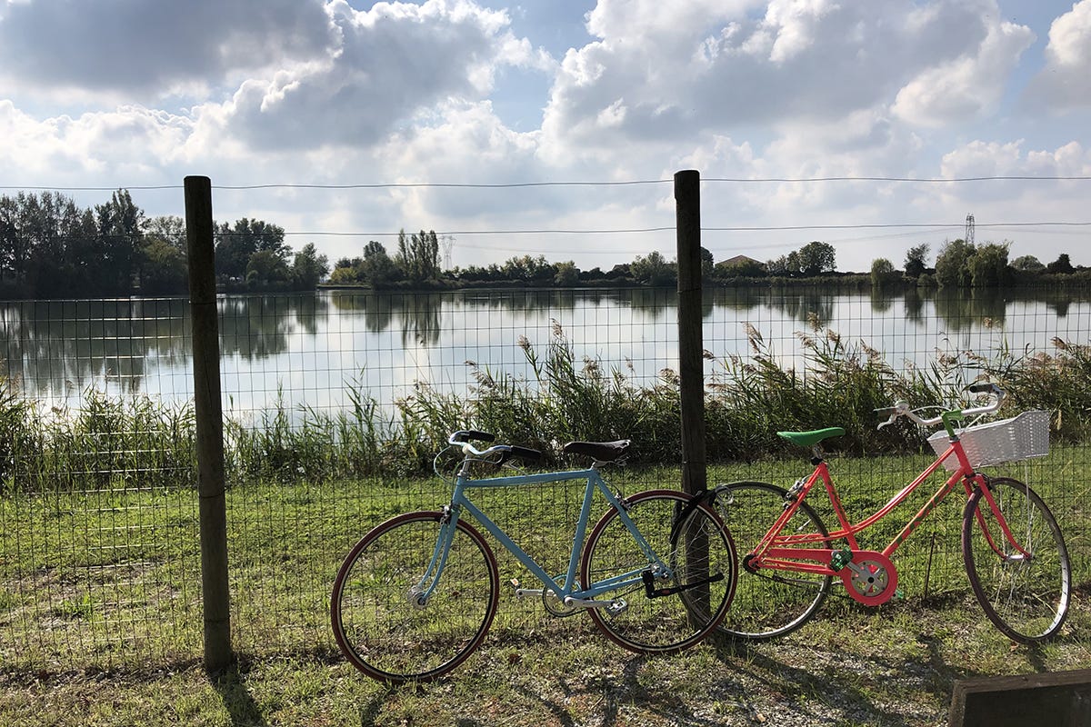 Campagne ferraresi. Foto: Visit Ferrara Da Ferrara a Comacchio, in bici e sull’acqua nella terra della dolce vita