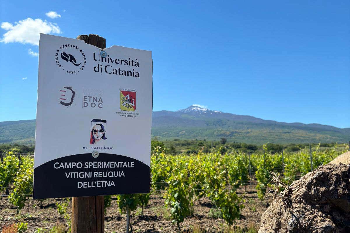 Tornata delle Accademie: scoprire i vini dell’Etna con accademici e produttori