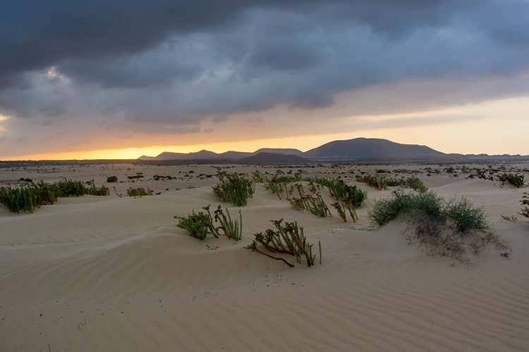 Paeque natural de las Dunas de Corralejo, set di Wonder Woman - Da Rambo a Guerre Stellari Le Canarie, studios a cielo aperto