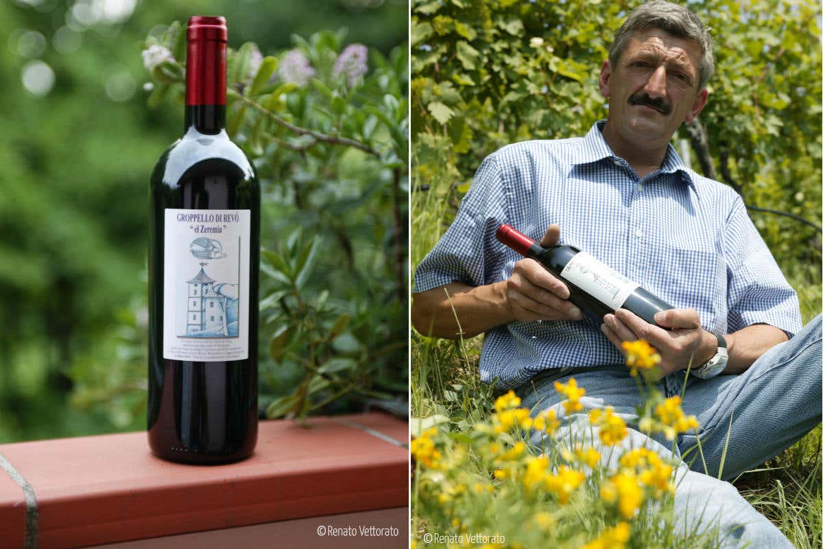 Bottiglia Groppello vino Augusto Zadra titolare cantina Viaggio nel tempo alla riscoperta del Groppello bianco