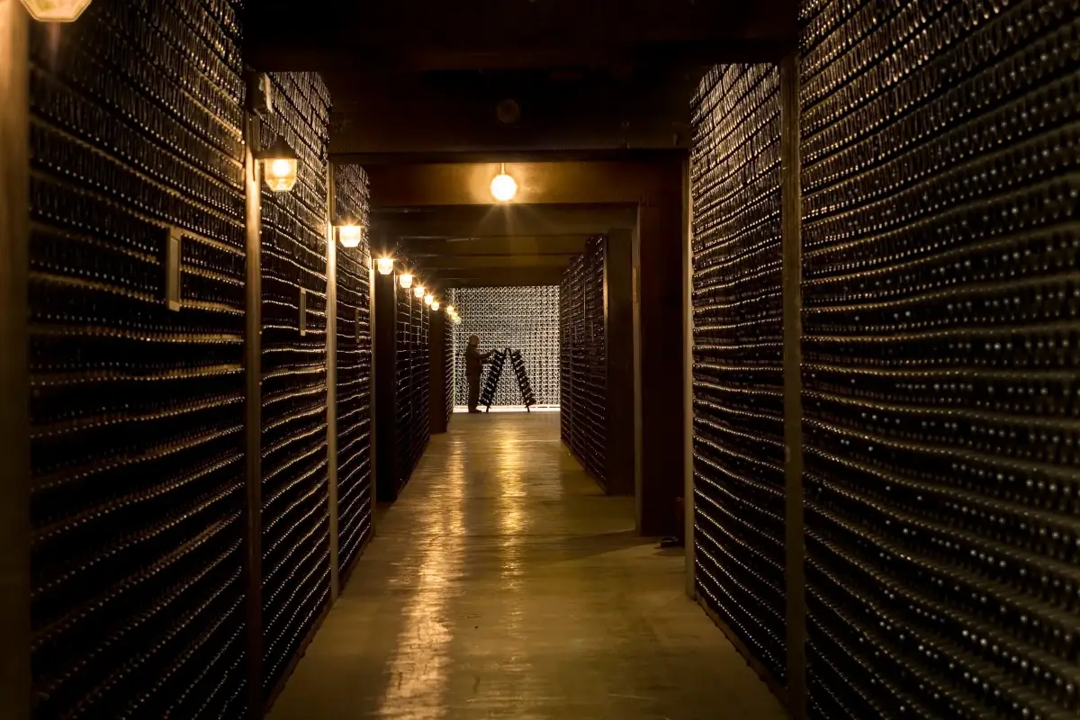 Cantina Ferrari Trento&nbsp; Piace l'Italia dell'enoturismo: Antinori nel Chianti Classico prima al Wbv