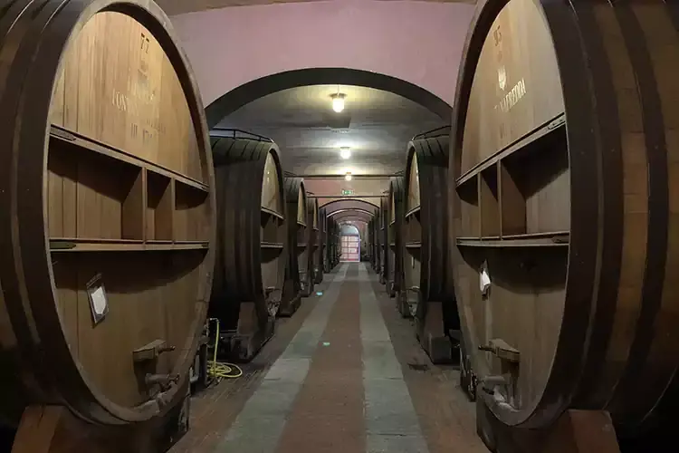 Viaggio tra le grandi botti Festa della Vendemmia, blend di tradizione e innovazione