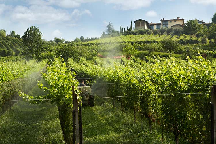 (Cantina Il Cipresso di Scanzo si amplia Dal 2018 tutti i vini saranno biologici) (Cantina Il Cipresso di Scanzo si amplia Dal 2018 tutti i vini saranno biologici)