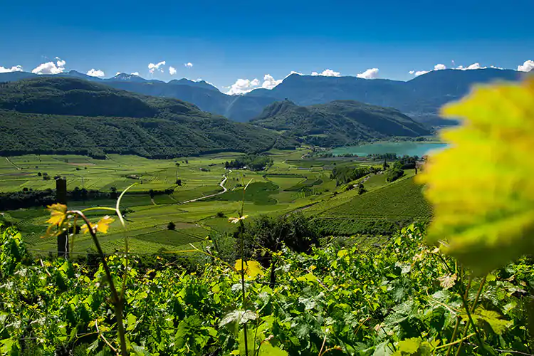 Cantina Kaltern in Alto Adige punta sul valore del tempo