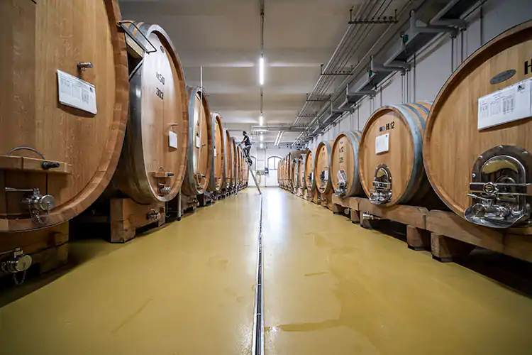 Cantina Kaltern in Alto Adige punta sul valore del tempo