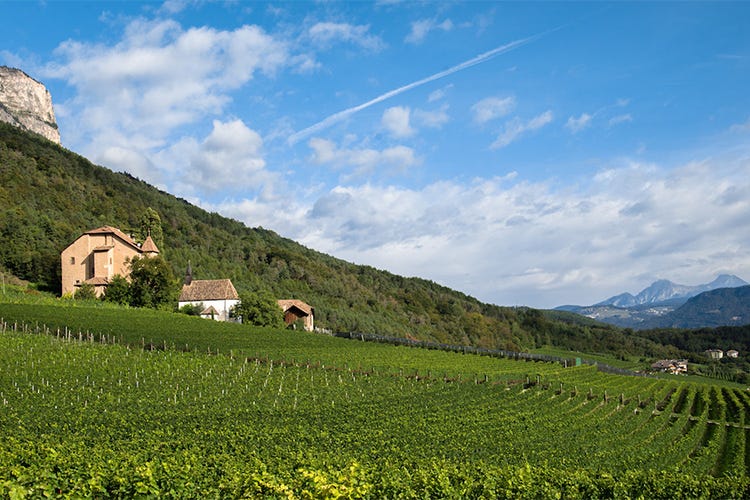 Sanct Valentin, da 30 anni  vino simbolo dell’Alto Adige