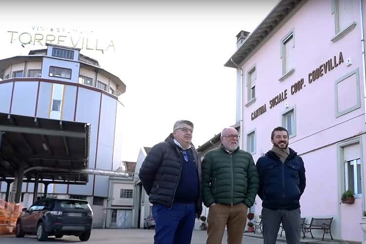 Il progetto ridar&agrave; splendore ad un angolo suggestivo della cantina e sede di Codevilla (Cantina Torrevilla rilancia l'Oltrep&ograve; puntando sul metodo Classico)
