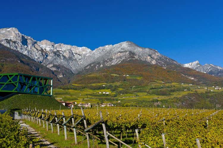 Cantina Tramin,  10% di fatturato Bene le vendite anche nelle grandi citt&agrave;