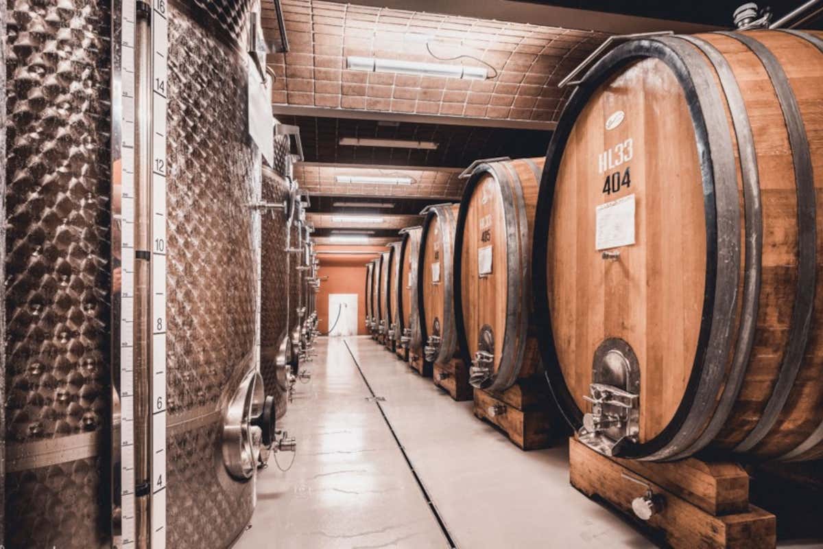 La bottaia della Cantina Valle Isarco L'enologo Cotarella firma le etichette Aristos della Cantina Valle Isarco