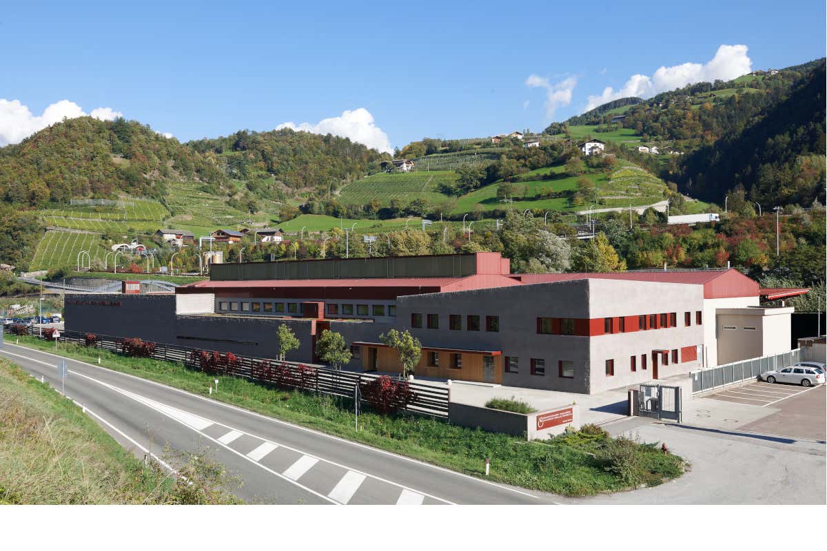 La Cantina Valle Isarco a Chiusa L'enologo Cotarella firma le etichette Aristos della Cantina Valle Isarco