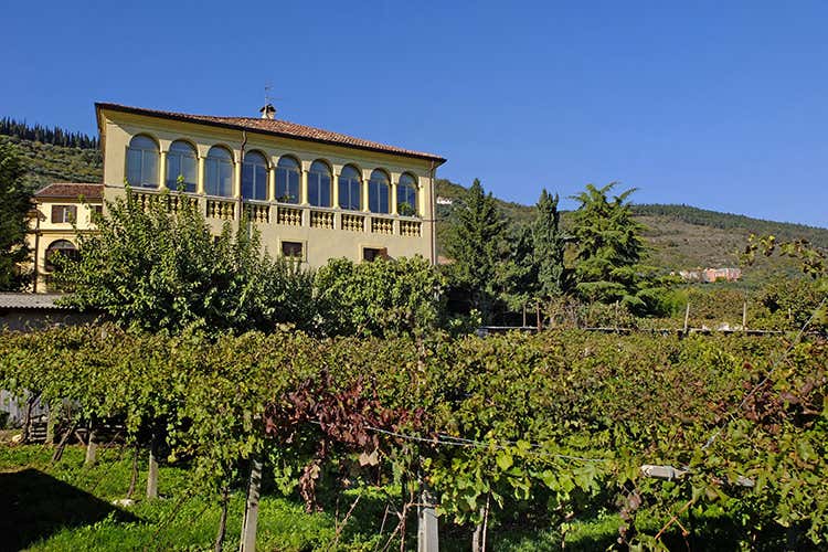 Approvato anche l’esercizio economico 2019/20 - Cantina Valpantena, sì alla fusione con la Cantina di Custoza Approvato anche l’esercizio economico 2019/20 - Cantina Valpantena, sì alla fusione con la Cantina di Custoza