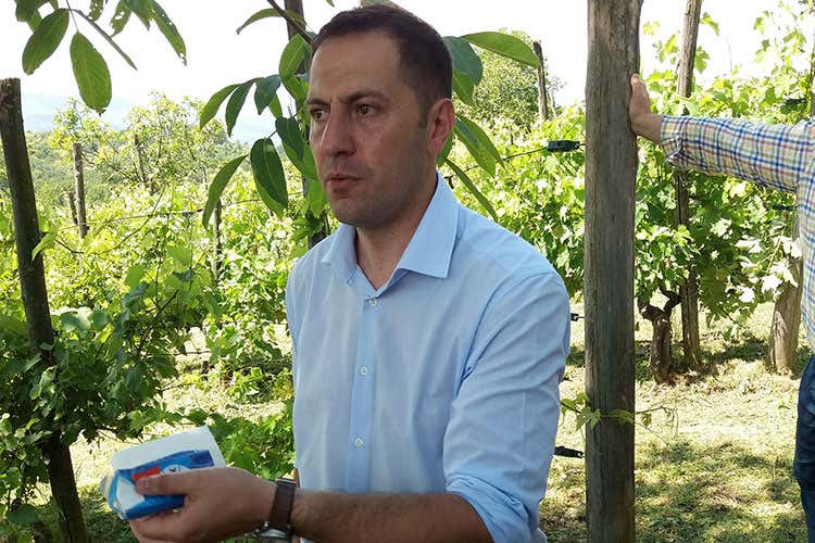 Antonio Di Carlo (Cantina Le Macchie a Rieti Una realt&agrave; vitivinicola d'eccellenza)