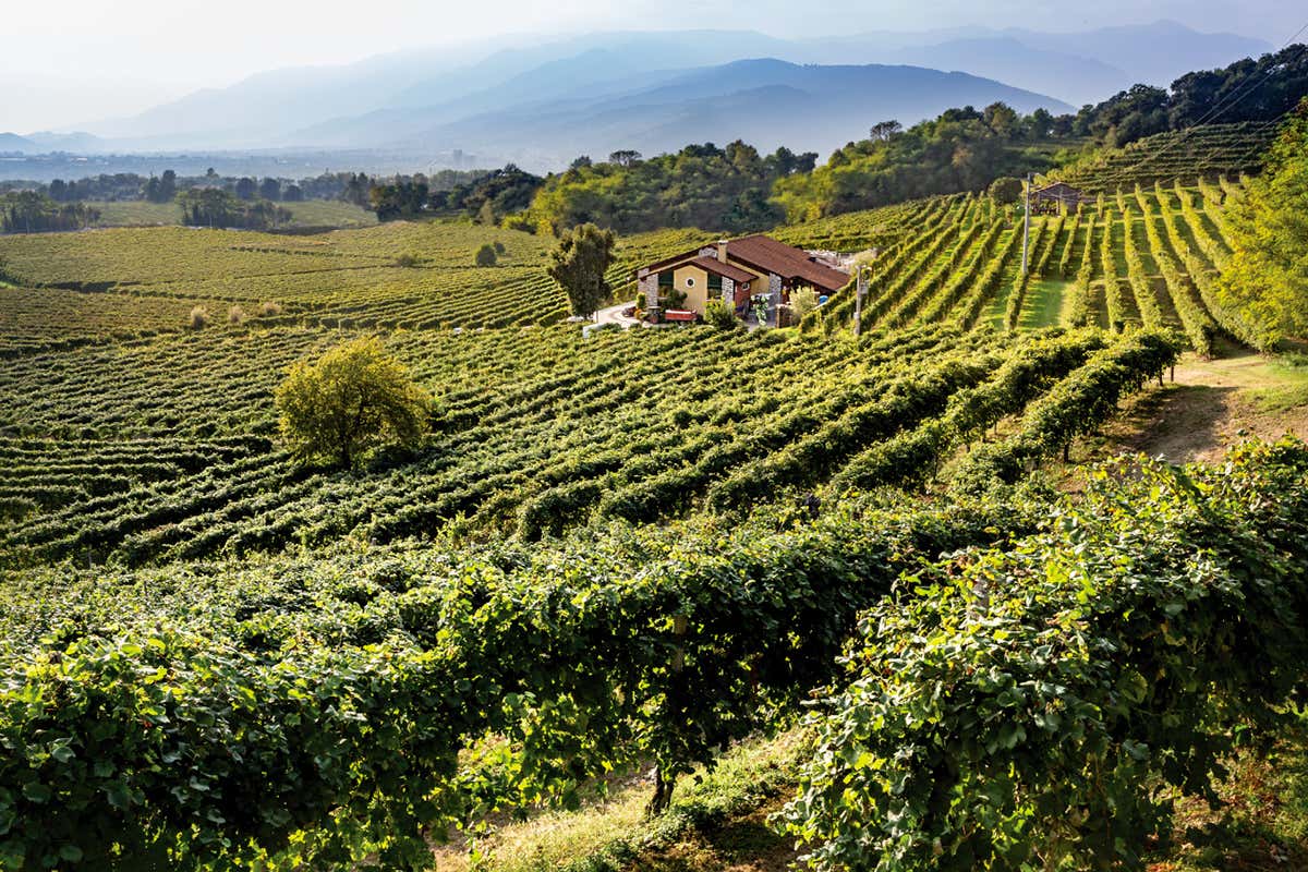 “Mete Eccelse” di Drusian: una collezione di vini che racconta l’identità del Valdobbiadene “Mete Eccelse” di Drusian: una collezione di vini che racconta l’identità del Valdobbiadene