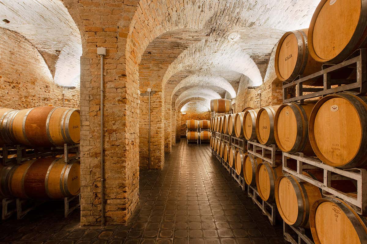 Turismo del vino: l'Italia al primo posto. Seguono Francia e Spagna