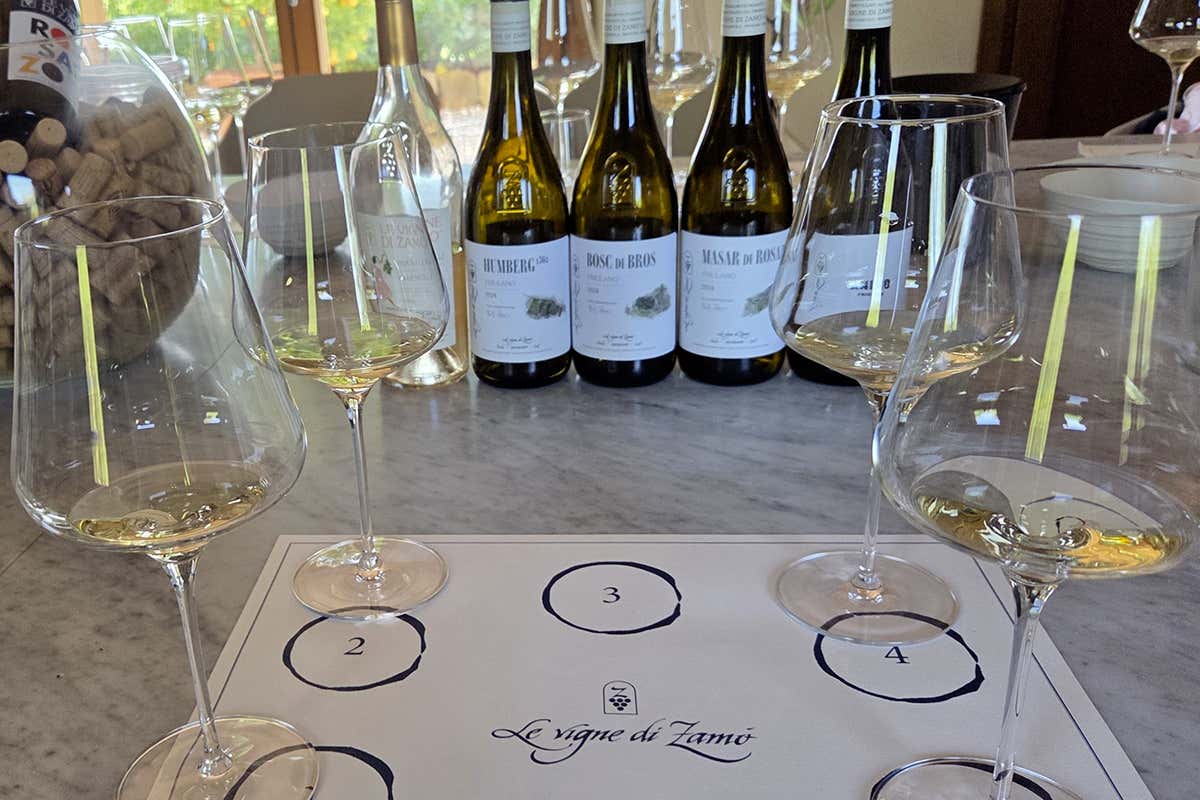 Il Friulano in 5 micro-vinificazioni biologiche secondo Le Vigne di Zamò Il Friulano in 5 micro-vinificazioni biologiche secondo Le Vigne di Zamò