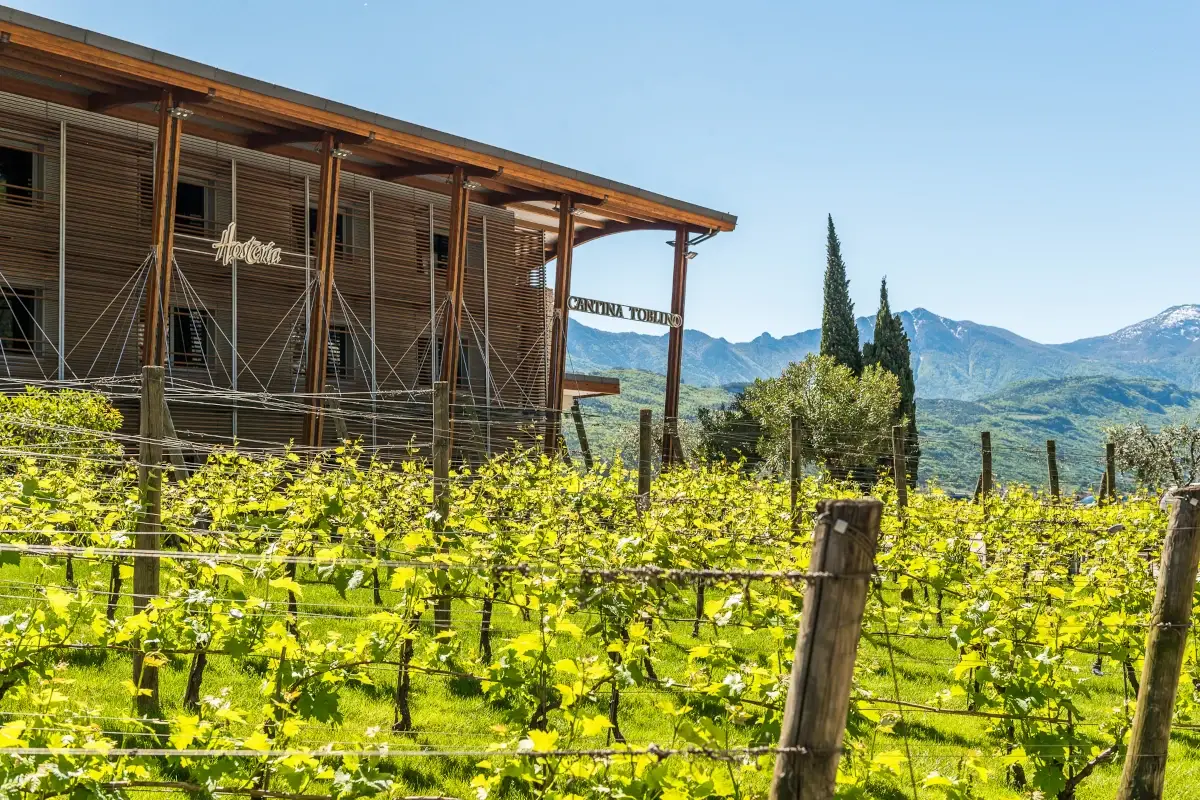 Cantina di Toblino Riserva Trentodoc Vent, l'ultimo gioiello di Cantina di Toblino
