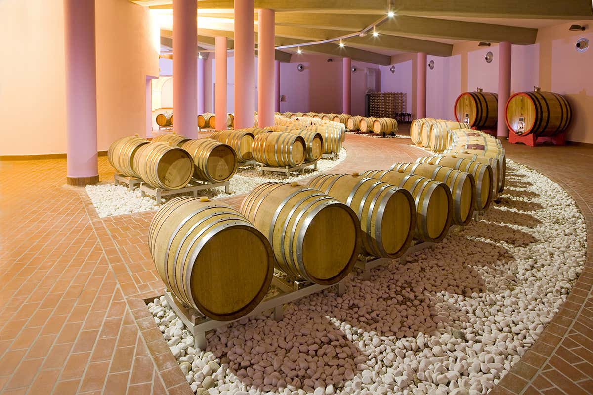 Come i Lugana Dop della cantina Perla del Garda cambiano con gli anni Come i Lugana Dop della cantina Perla del Garda cambiano con gli anni