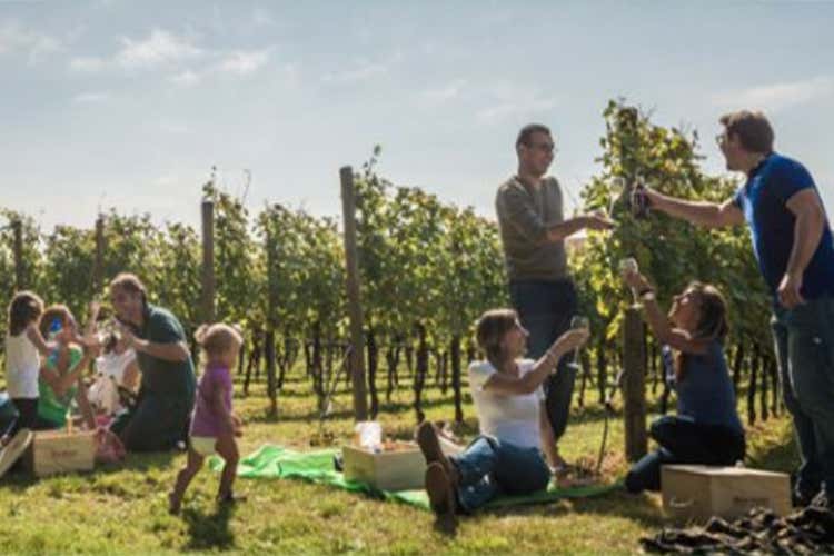 Cantine Aperte, 800 in tutta Italia per i 25 anni della Festa del vino Cantine Aperte, 800 in tutta Italia per i 25 anni della Festa del vino