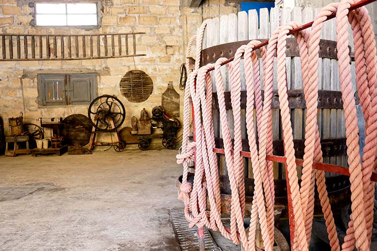Cantine aperte, da Ramaddini musica dal vivo e tour fra le botti