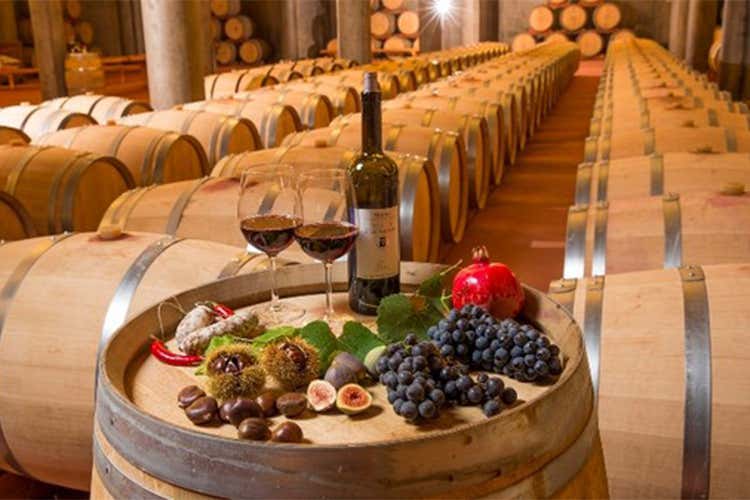 Cantine Aperte, appuntamento in Toscana Novit&agrave;, il vino raccontato dai fumettisti