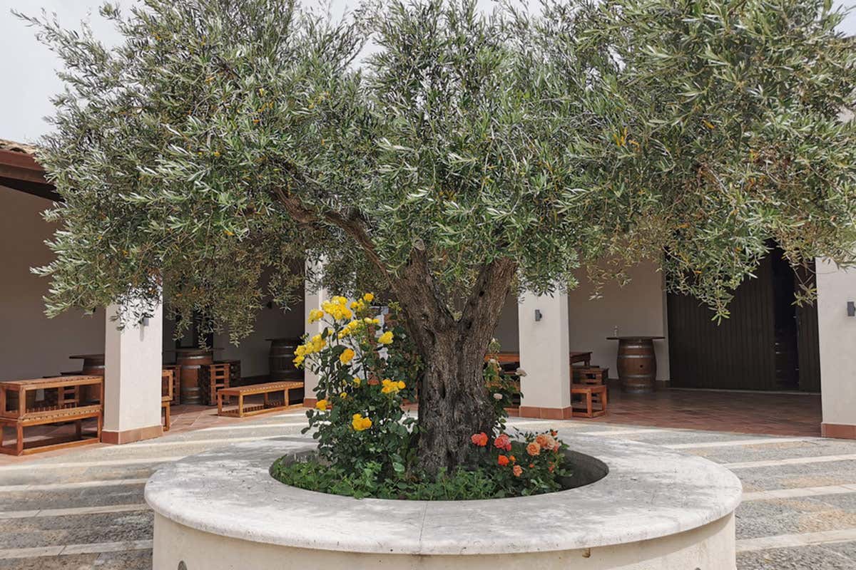 Il baglio della cantina Cantine Di Legami, un Grillo spumante ed un Perricone che si fanno apprezzare