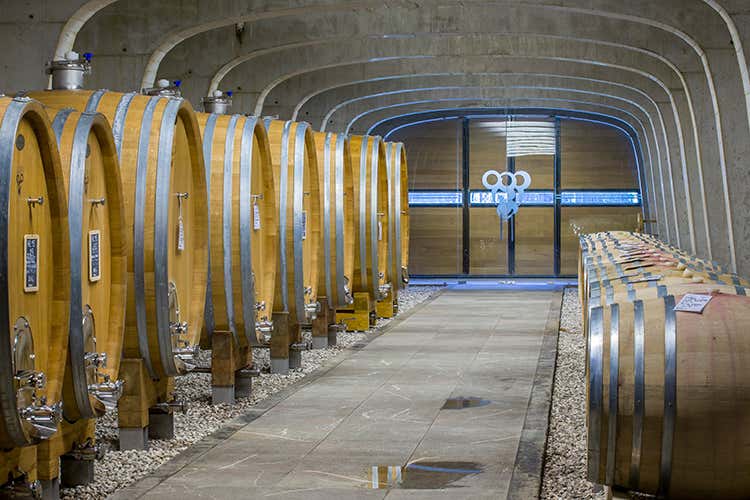 (Cantine Gori, esperienza di sensi tra cuore, eccellenza e tradizione)