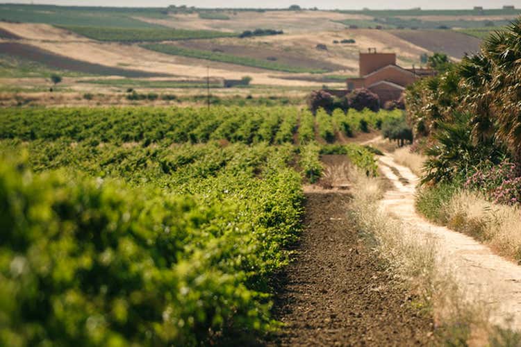 Cantine Pellegrino, da 140 anni l’eccellenza del vino siciliano Cantine Pellegrino, da 140 anni l’eccellenza del vino siciliano