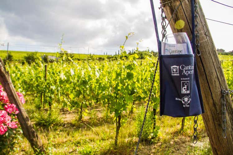 Cantine Aperte in tutta Italia nel weekend Tra i giovani cresce il wine tourism Cantine Aperte in tutta Italia nel weekend Tra i giovani cresce il wine tourism