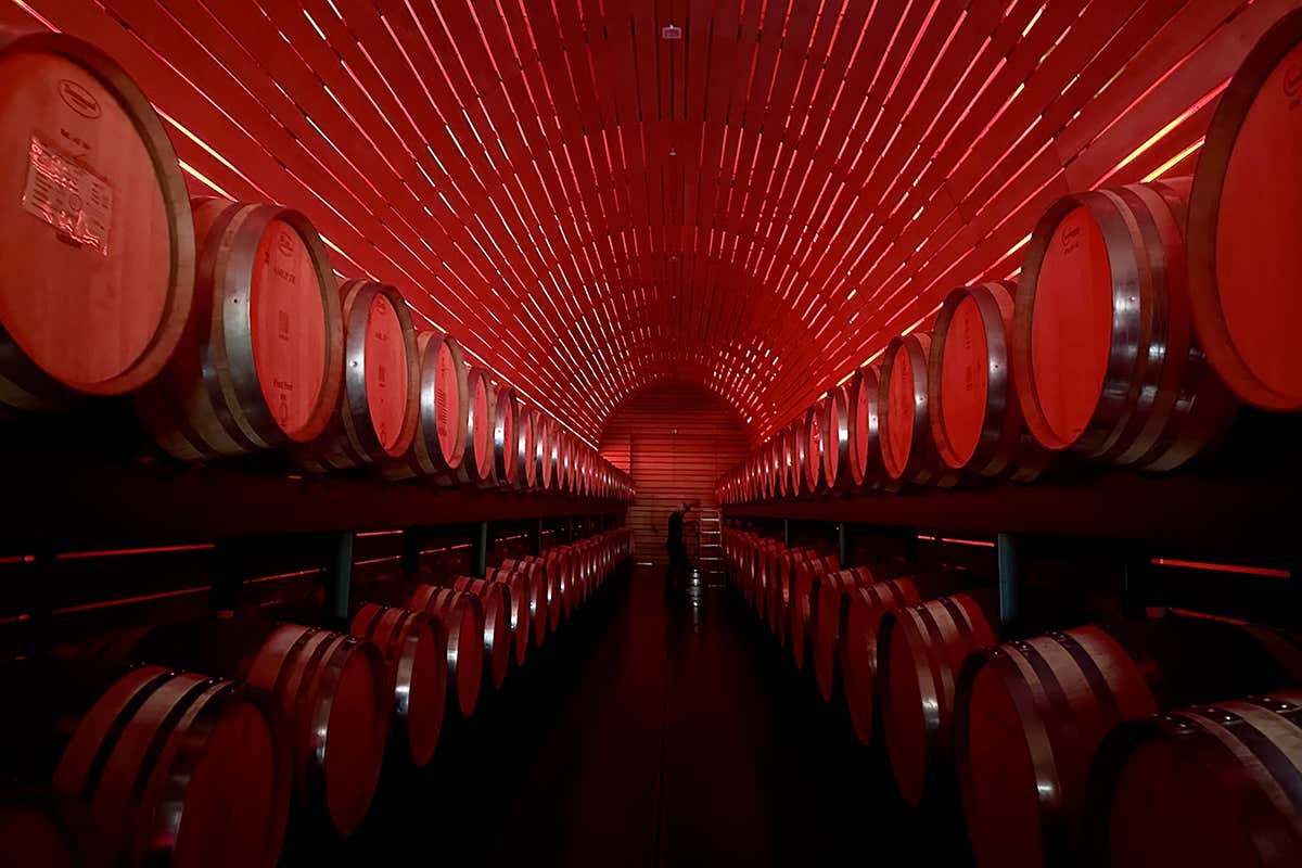 La Cantina Merano a Marlengo, una grande realtà cooperativa che racchiude l'eccellenza dei microclimi della conca meranese