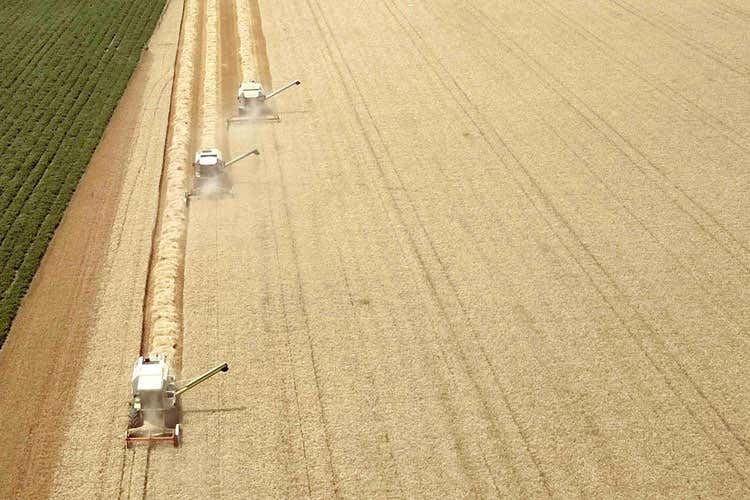 (Capodanno del Mugnaio 2018 Mulino Caputo, patto per il grano sicuro) (Capodanno del Mugnaio 2018 Mulino Caputo, patto per il grano sicuro)