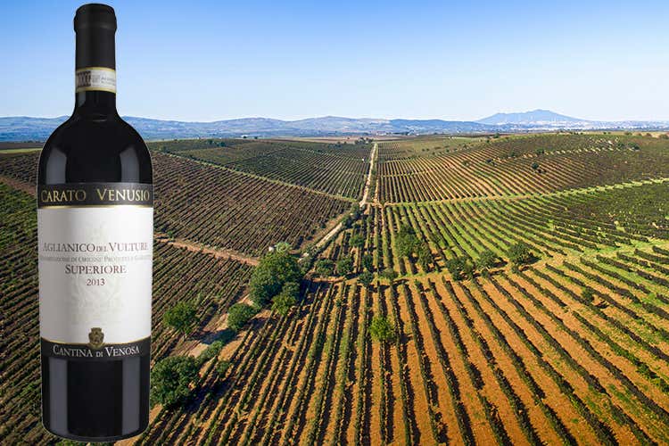 Carato Venusio Superiore Vino prezioso ed ecosostenibile Carato Venusio Superiore Vino prezioso ed ecosostenibile
