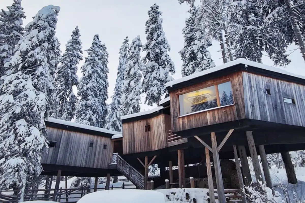 Si possono scegliere fra mobile home e case sugli alberi Paura di Omicron ma voglia di vacanza? La soluzione &egrave; il campeggio sulla neve