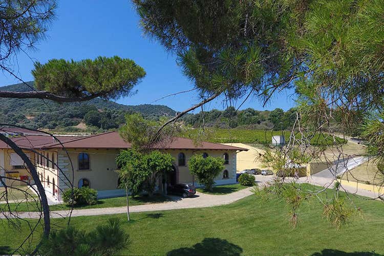 (Cariati, tra vino e fede)